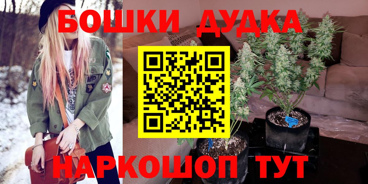 Бошки марихуана LSD WEED  МАРИХУАНА VHQ  Вход с VPN  МАРИХУАНА LSD WEED  Бошки марихуана OG Kush  Нальчик 
